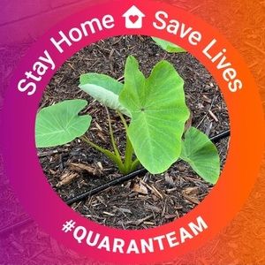 Meet your Posher, Derrick